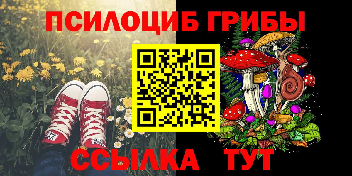 Алушта  Псилоцибиновые грибы прущие грибы  купить наркотик  Вход с VPN 