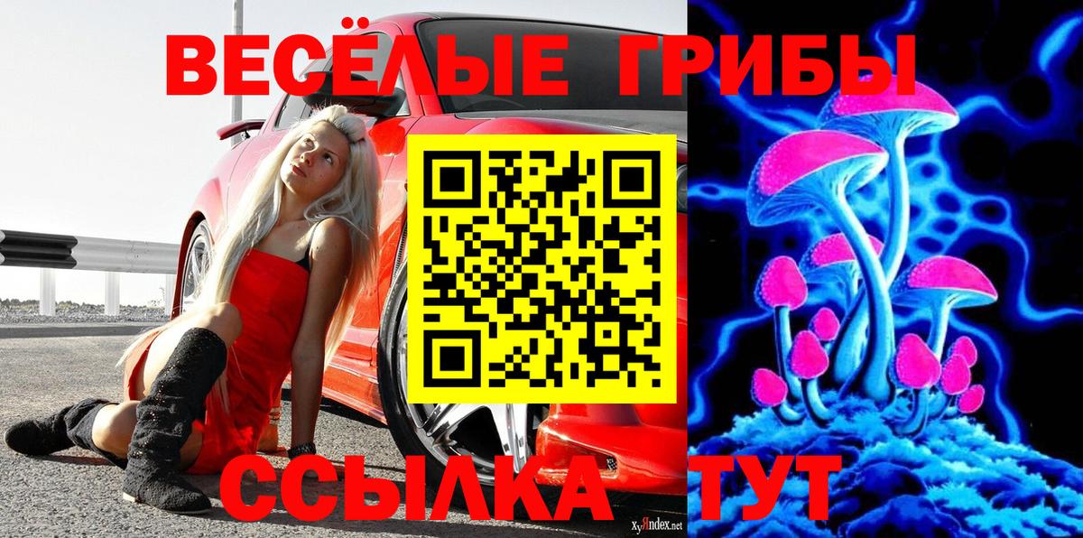 Галлюциногенные грибы ЛСД Алушта